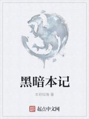 黑暗本丸是什么意思