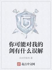 你可能对我的剑有什么误解英文