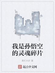 我是孙悟空什么意思