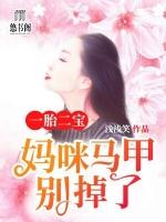 一胎二宝妈咪你的马甲掉了