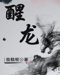 醒龙律师事务所