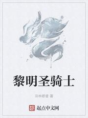 黎明骑士电影