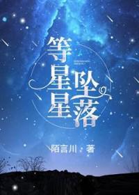 等星星坠落陆霁林佳语