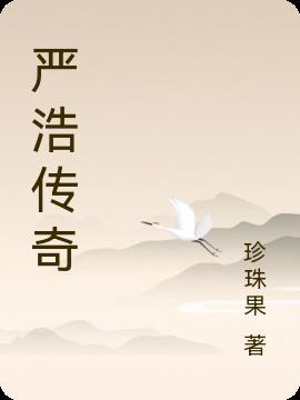 严传浩简介