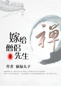 嫁给僧侣先生正版无防盗