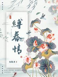 缚春情江行简宋挽圆房了吗