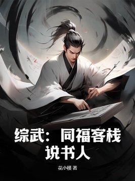 综武侠之同福客栈小绣郎