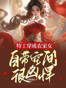 特工穿成农家傻女