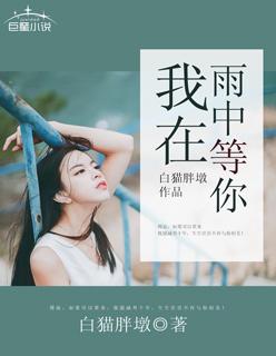 贺小姐复婚吧全文免费