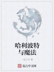 哈利波特与魔法石免费观看中文版