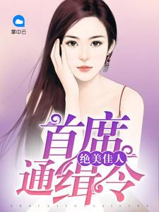 绝美佳人：首席通缉令